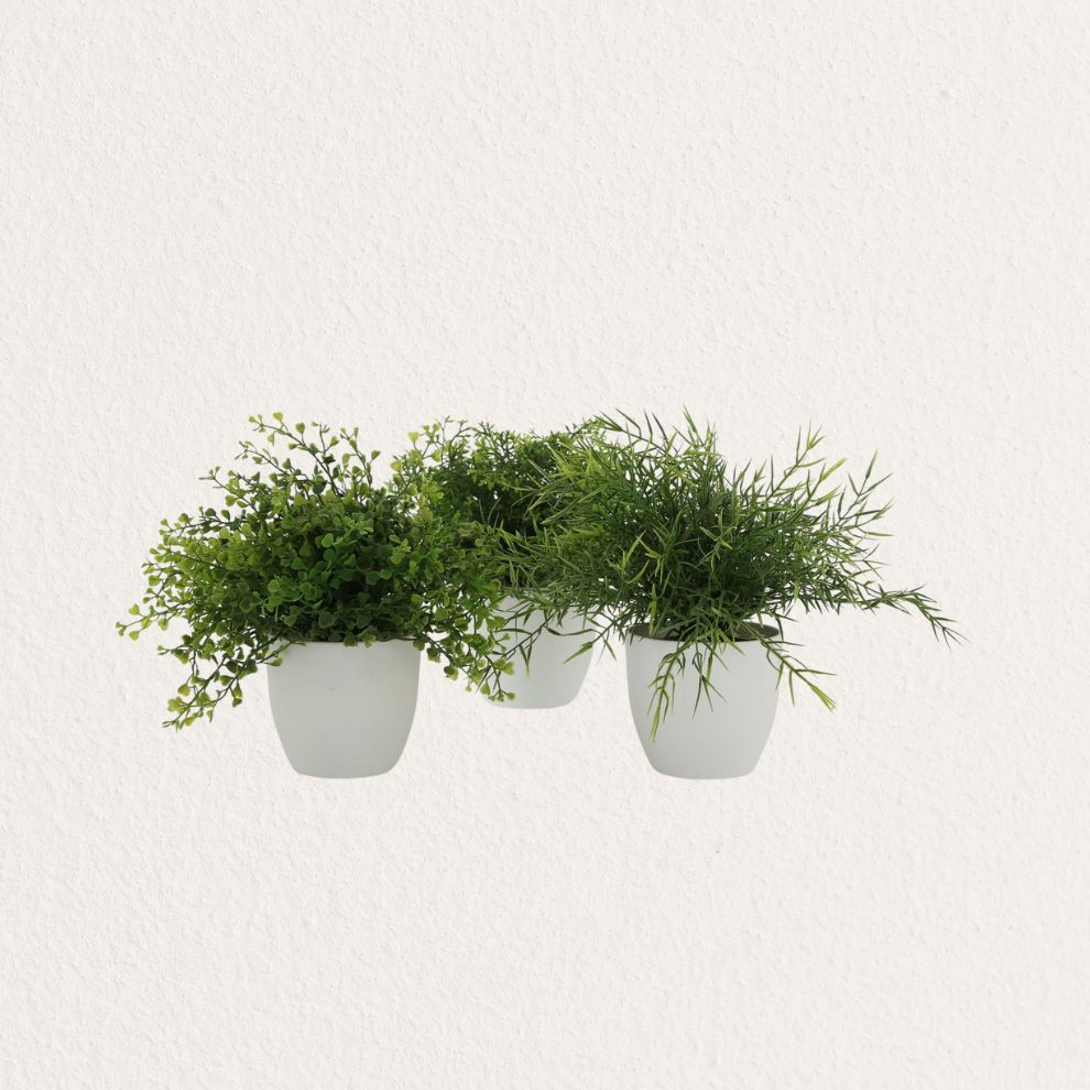 BOLTZE 人造植栽造型擺飾