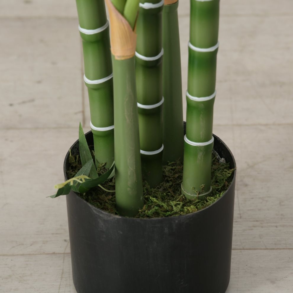 棕櫚樹盆栽造型擺飾 (3)