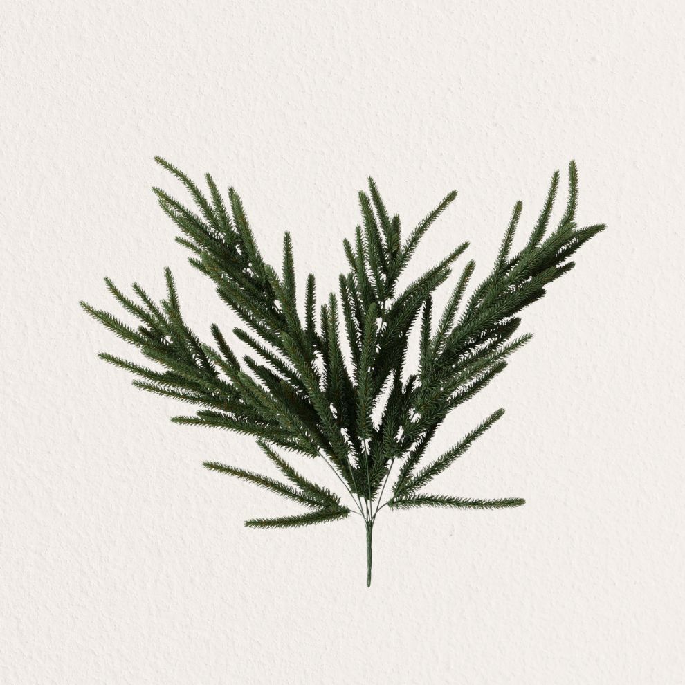 松樹裝飾植物造型擺飾 (1)