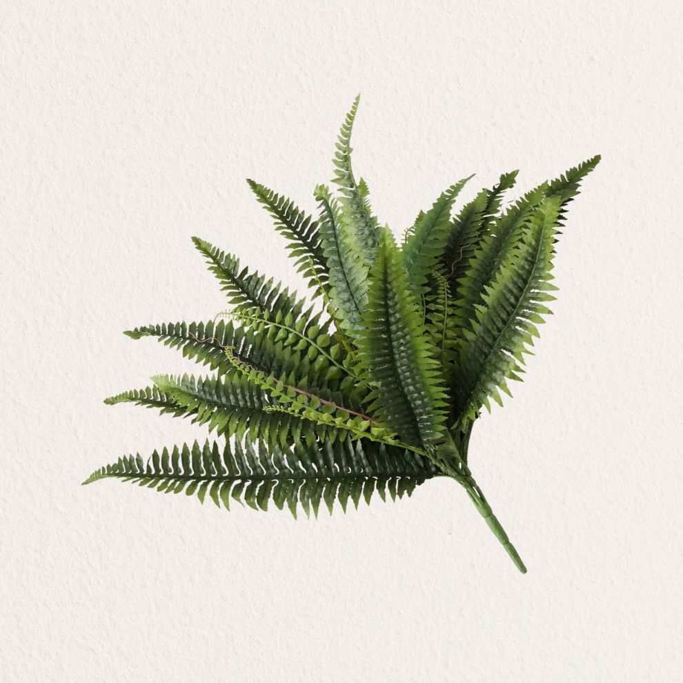 BOLTZE 蕨類裝飾植物造型擺飾