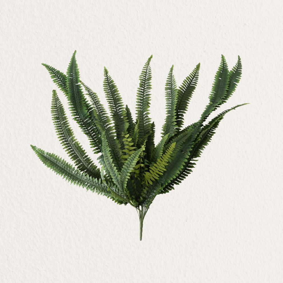 BOLTZE 蕨類裝飾植物造型擺飾