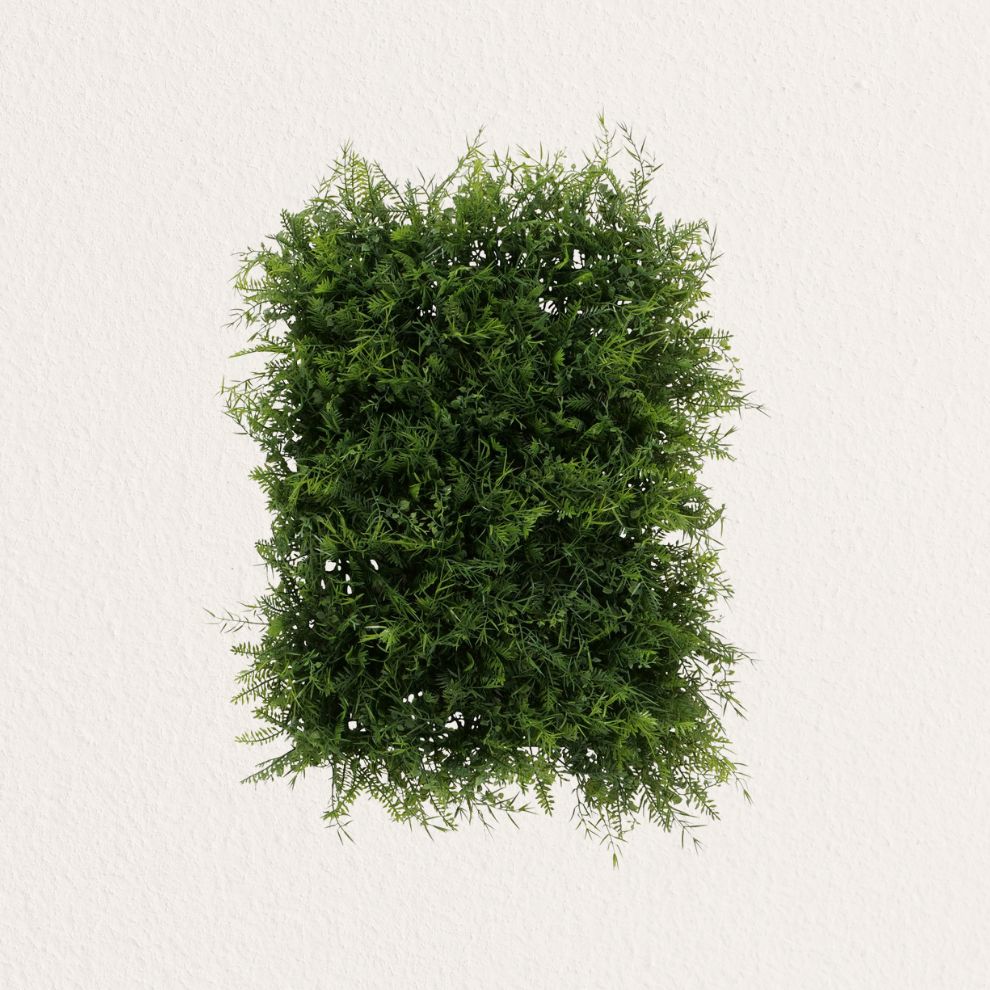 BOLTZE 裝飾植物造型擺飾