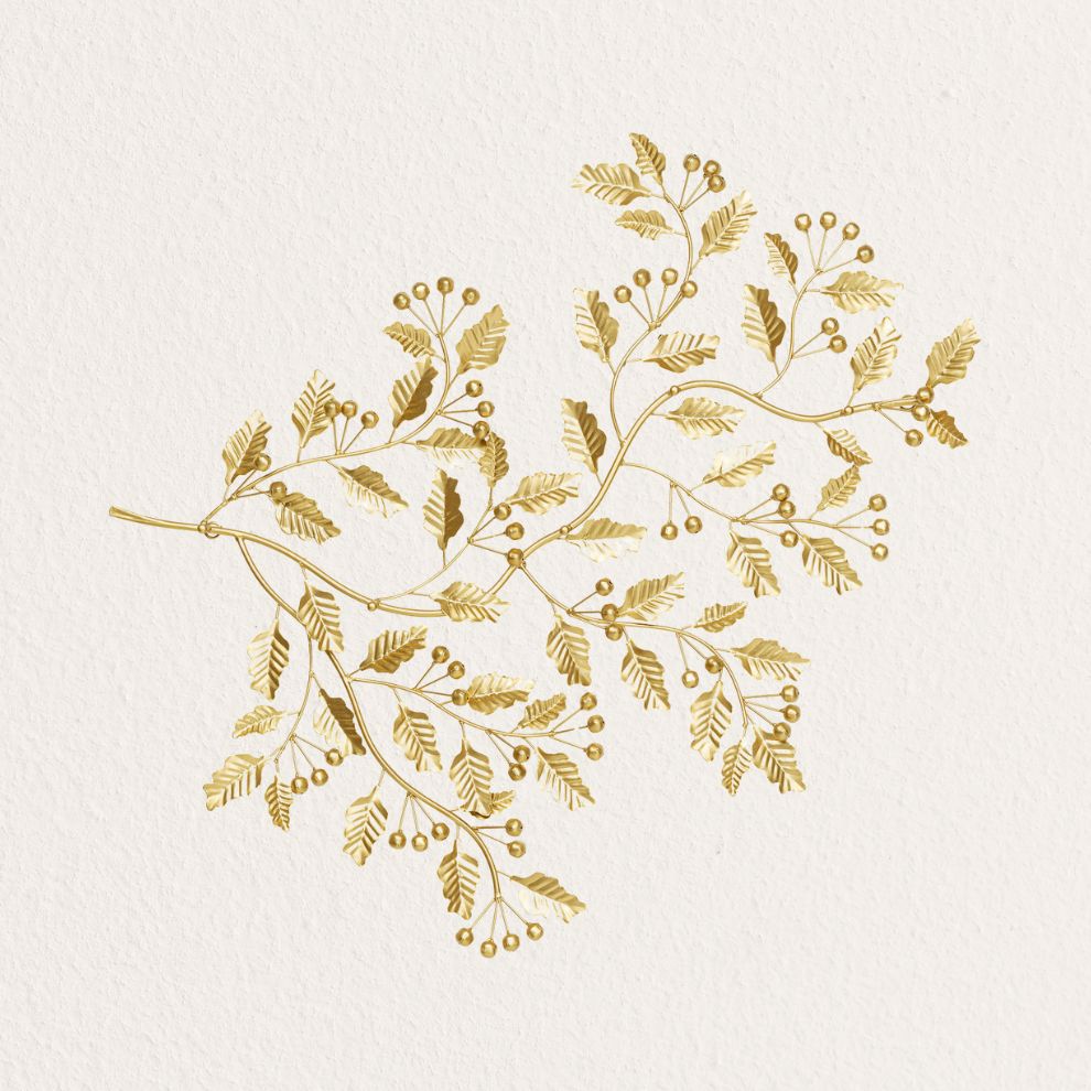 常綠漿果造型壁掛衣帽架 (2)