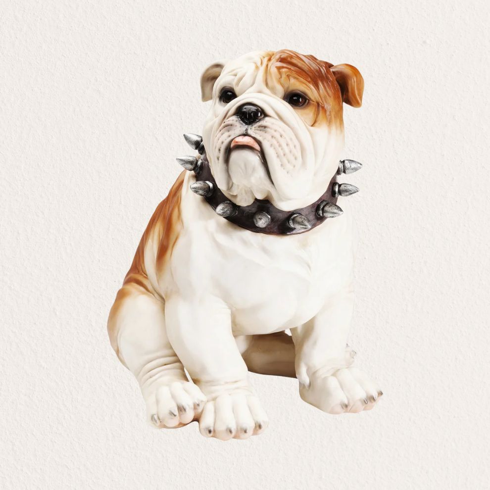 鬥牛犬存錢筒 (1)