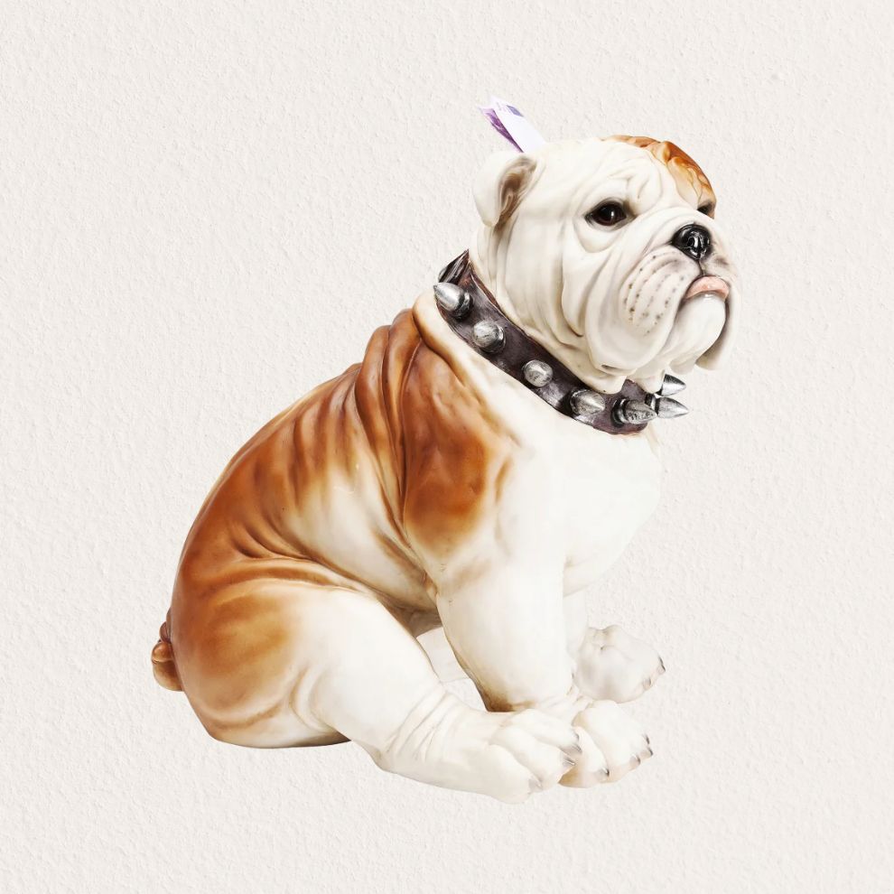 鬥牛犬存錢筒 (2)