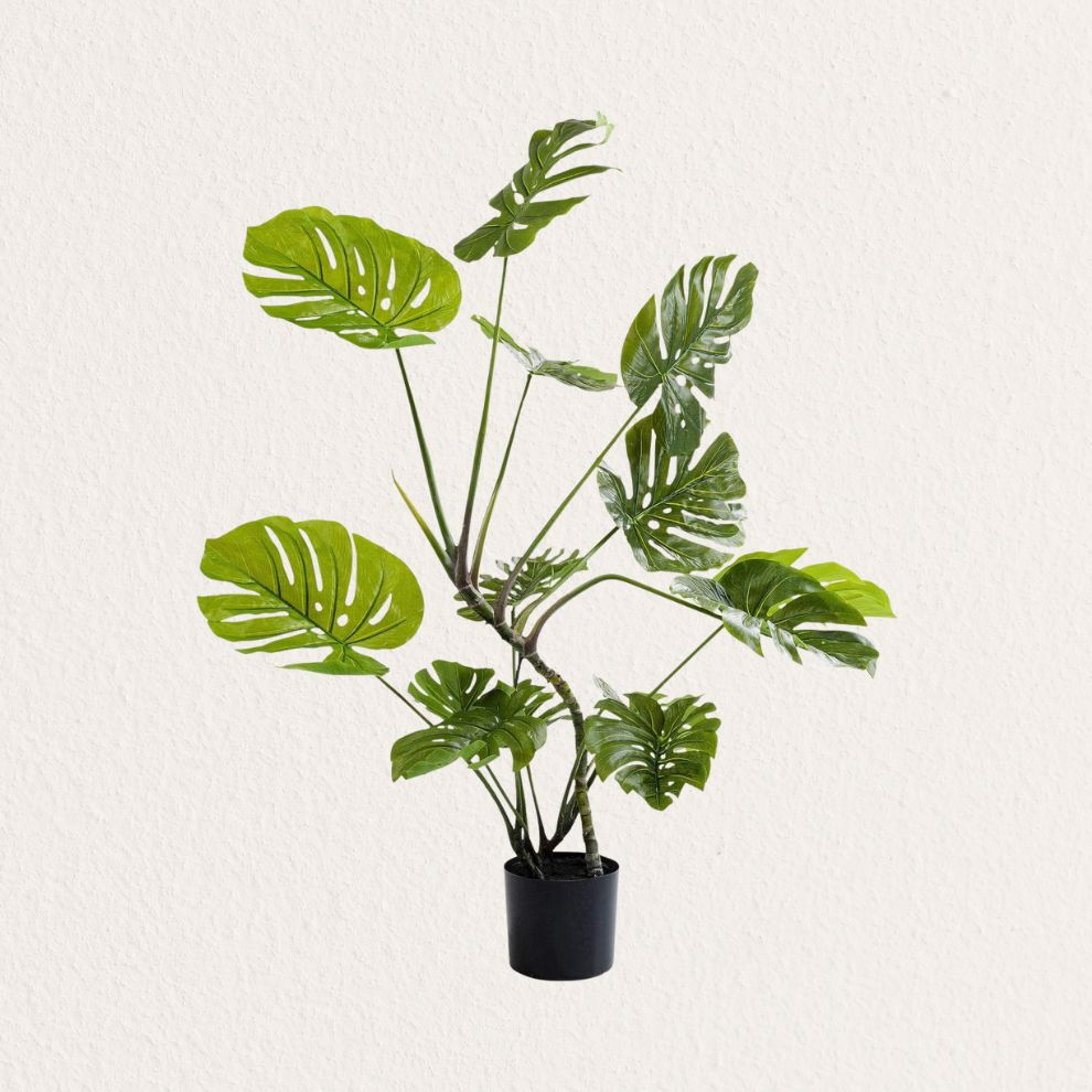 KARE 龜背芋盆栽造型擺飾